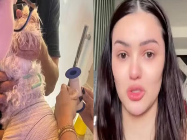 Ex BBB Eslô Marques fica em prantos após cachorro ser atacado
