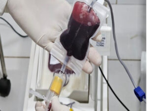 Fhemeron   Fhemeron reforça doação de medula óssea que é vital para o tratamento de mais de 50 doenças hematológicas   Governo do Estado de Rondônia     		Governo do Estado de Rondônia