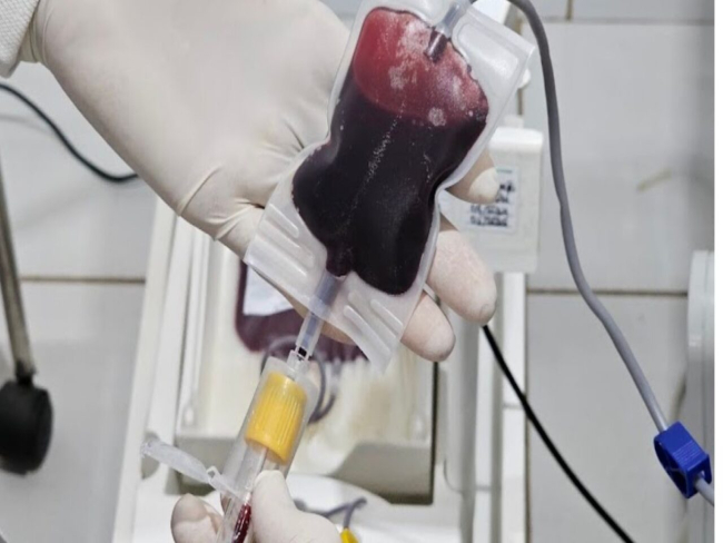 Fhemeron   Fhemeron reforça doação de medula óssea que é vital para o tratamento de mais de 50 doenças hematológicas   Governo do Estado de Rondônia     		Governo do Estado de Rondônia