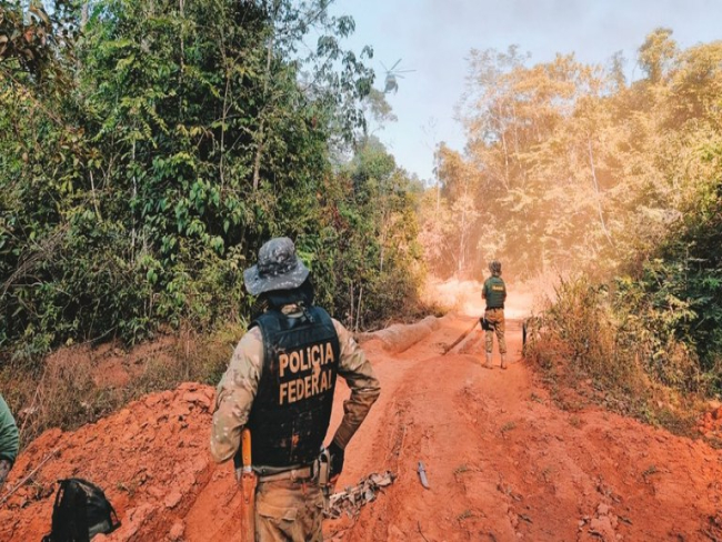 PF deflagra operação contra transporte ilegal de ouro em Rondônia — Polícia Federal