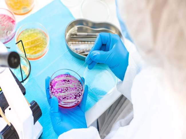 Superbactéria resistente a antibiótico cresce 460%, alerta CDC