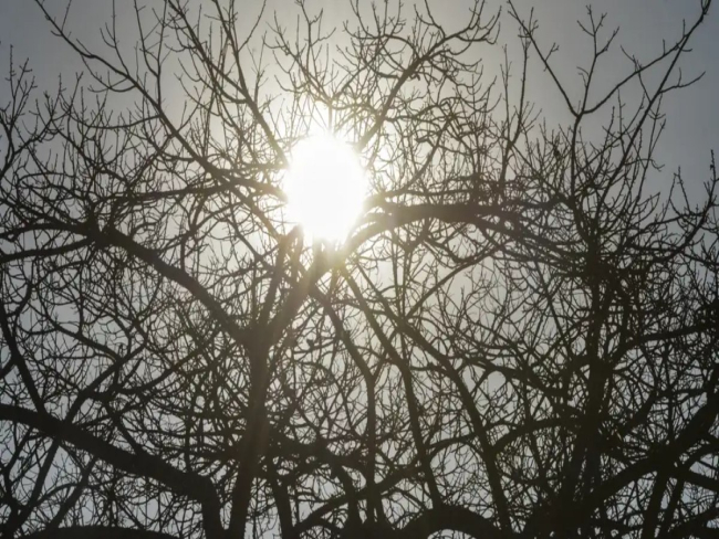 Frio pela manhã e ar seco à tarde marcam o tempo no Centro Sul