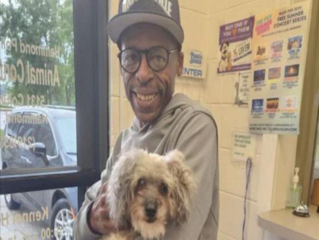 Tutor comove ao se reencontrar com cão desaparecido há 10 anos