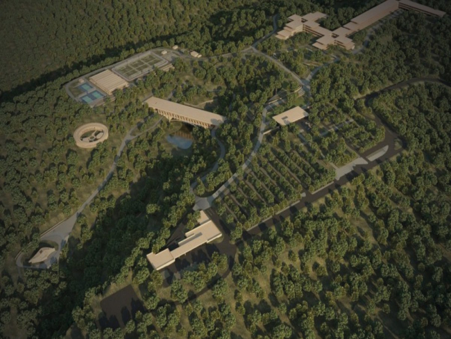 Como as empresas podem ajudar