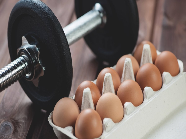 Conheça os 5 alimentos proteicos mais eficientes para pós treino