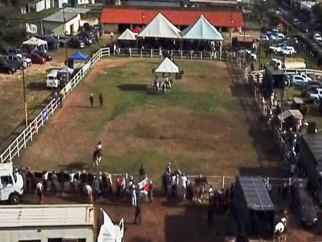 Justiça suspende eventos em MG por risco de febre maculosa