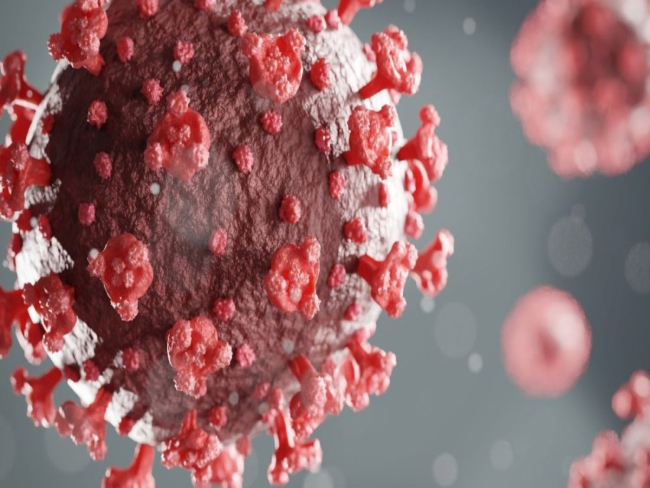 Nova cepa da COVID 19 registra picos em 9 estados dos EUA