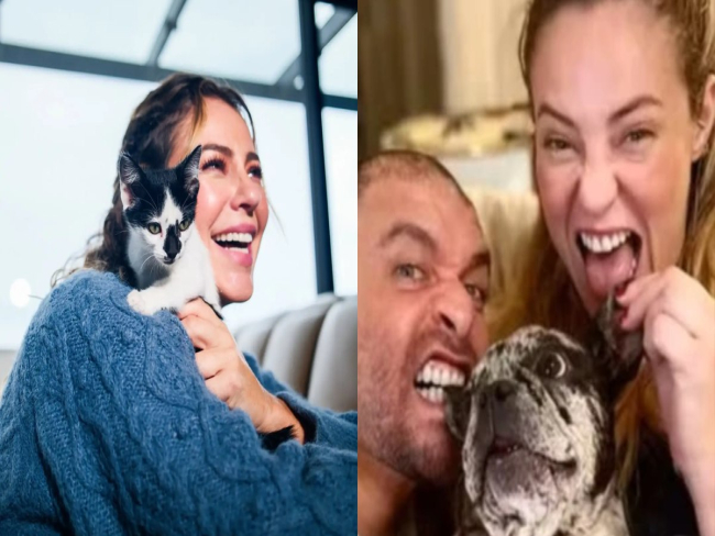 Antes de separação, Paolla Oliveira e Diogo adotaram 18 pets