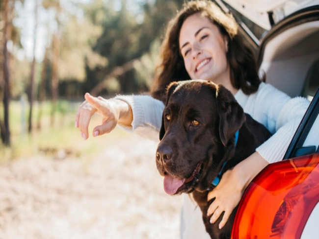 Cuidados essenciais para viajar com pets nas férias