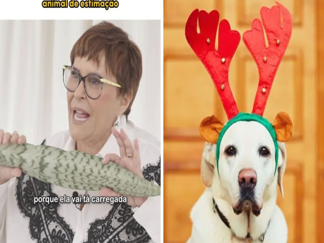 Márcia Sensitiva ensina ritual para proteger pets no Natal