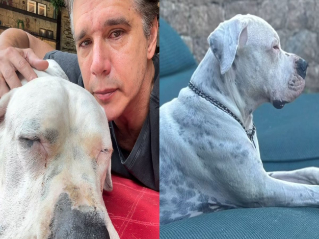 Márcio Garcia comove ao relatar drama de cachorro com câncer