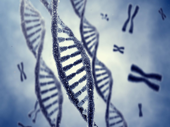 Reino Unido confirma nova variante de Mpox