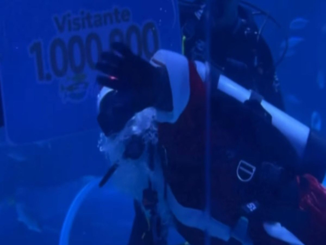 Verão: Papai Noel mergulha com peixes no RJ para celebrar o Natal