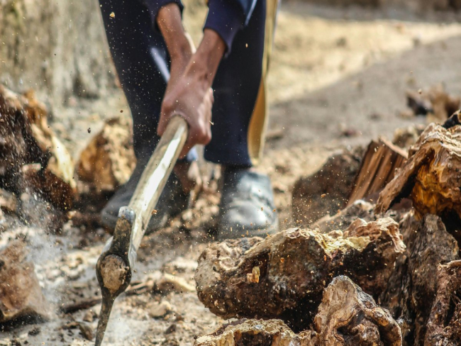 Atividades manuais diárias aumentam testosterona, aponta estudo