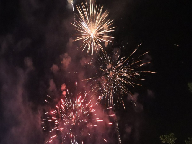 Festas de fim de ano exigem cuidados redobrados com pets