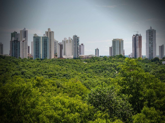 Florestas e cidades são frente comum na luta pelo clima