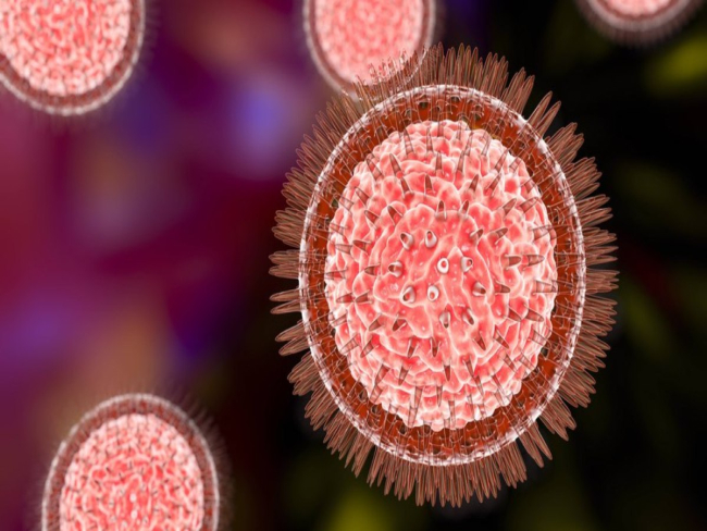 Vírus raro letal é identificado e gera alerta global