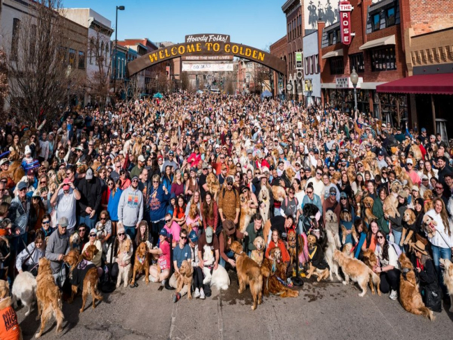 Milhares de Golden Retrievers celebram Dia Internacional da raça