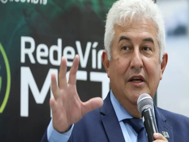 Vírus Nipah: o Brasil não pode ser pego de surpresa