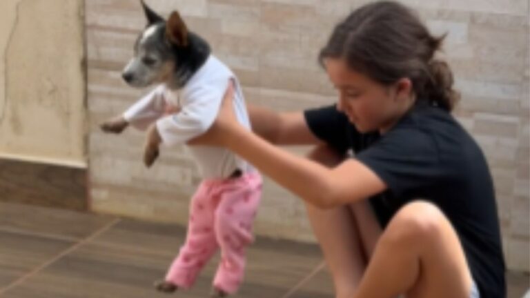 Cachorrinho esbanja paciência ao ser vestido com roupas de bebê
