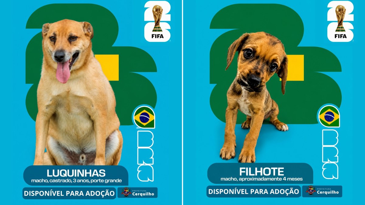 imagem10-06-2026-13-06-59