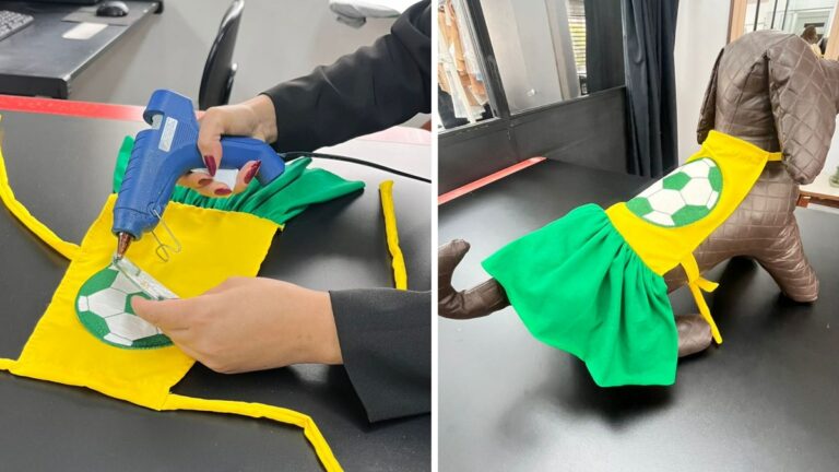 Pets no clima da Copa: aprenda a fazer vestido temático para cães