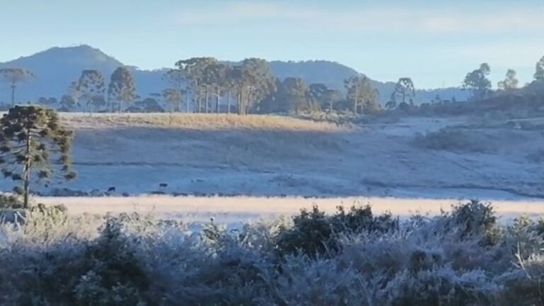 SC bate recorde de frio com  7,3ºC; veja fotos