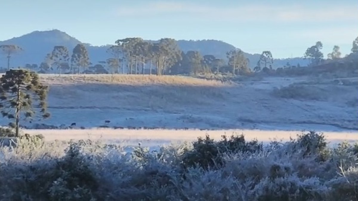 SC bate recorde de frio com  7,3ºC; veja fotos