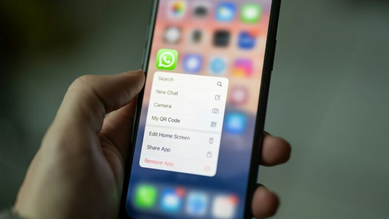Nova função: como adicionar um nome de usuário no WhatsApp