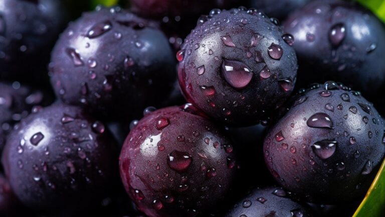 Açaí auxilia na regeneração muscular e reduz exaustão durante treino