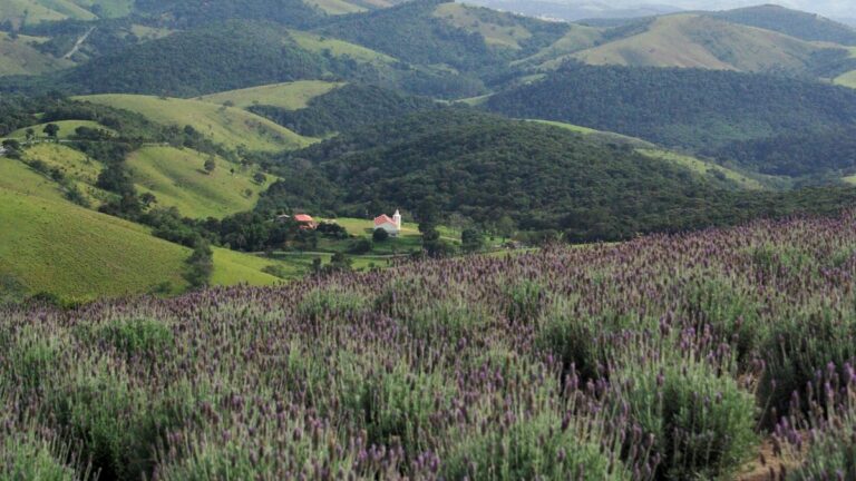 Cunha (SP) recebe 6º Festival do Queijo no feriado 7 setembro