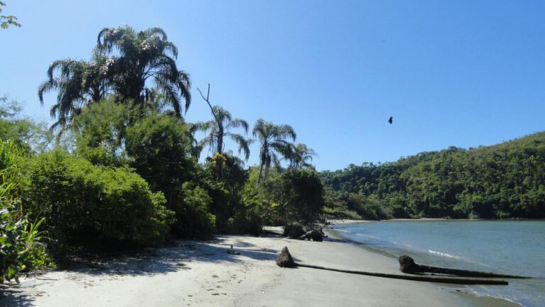 São Paulo tem 142 praias próprias para banho neste fim de semana