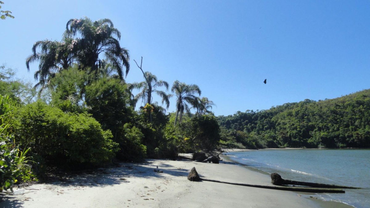 São Paulo tem 142 praias próprias para banho neste fim de semana